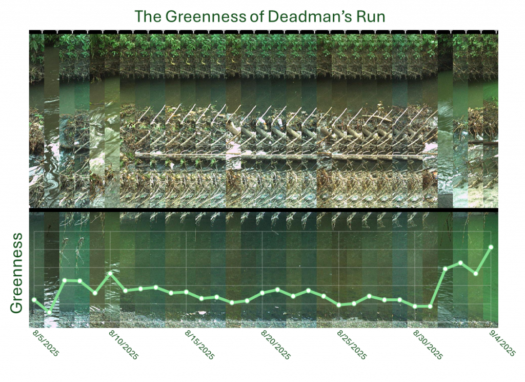 A composite image showing how the greenness of stream water changes over time.