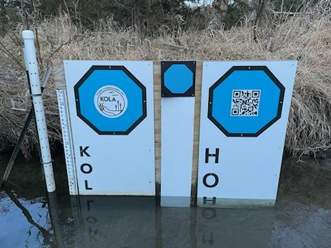 Image of three signs installed in a small stream. Each sign contains a blue octagon shape that is used to calibrate images for water level measurements.