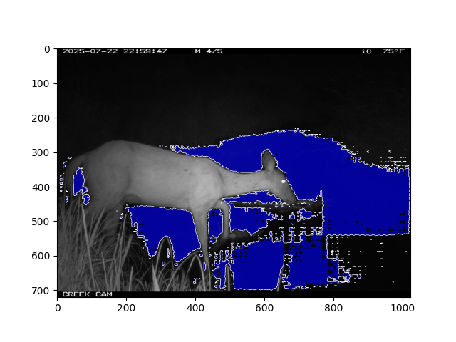 Water segmentation with wildlife in the imagery.