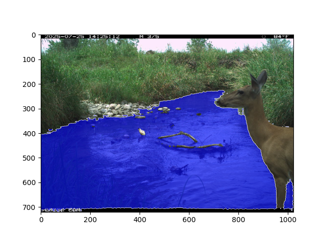 Water segmentation on a test image. A white-tailed deer is standing in the creek.