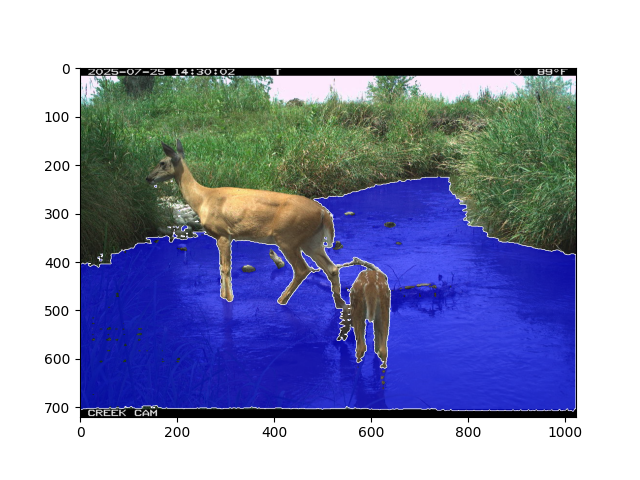 Water segmentation on a test image. A white-tailed deer is standing in the creek.